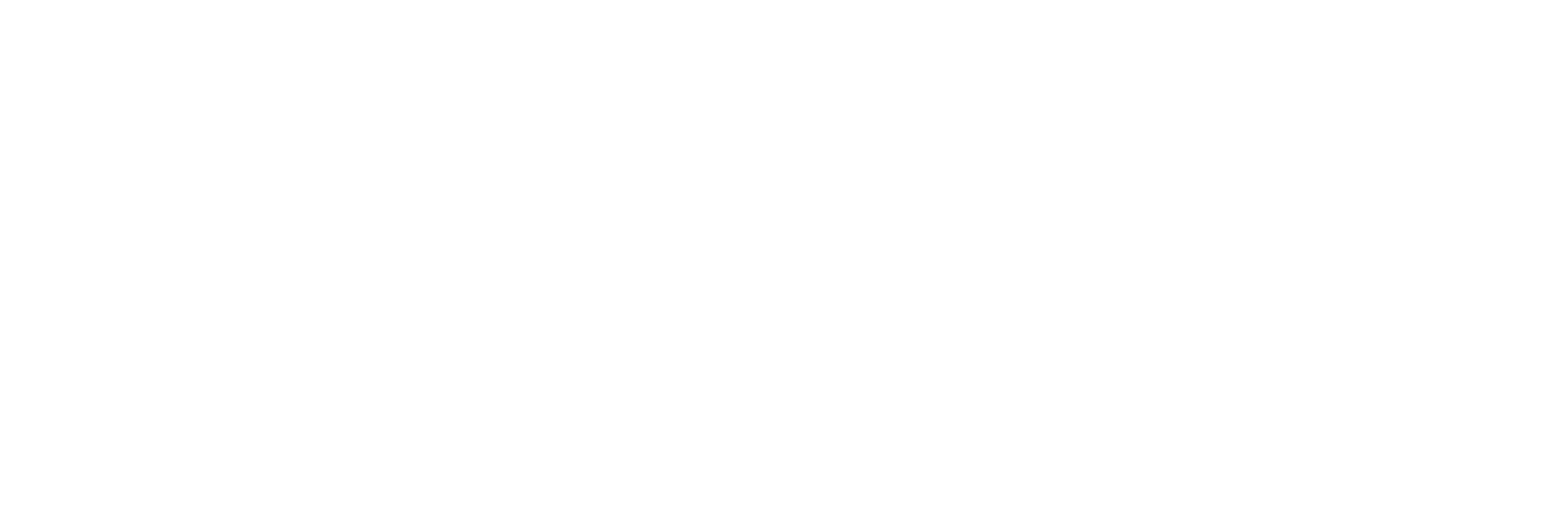 The Cyprus Institute